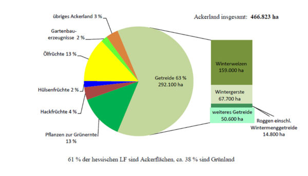 Grafik: Flächennutzung von landwirtschaftlichen Betrieben in Hessen; Quelle: Hessisches Statistisches Landesamt (HSL), Wiesbaden, ASE 2016 [vorl.]