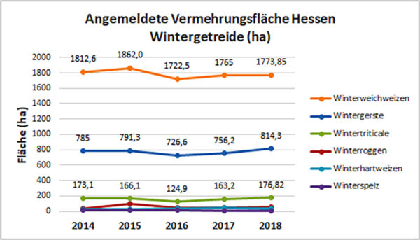 Grafik: Vermehrungsflächen Wintergetreide in Hessen 2014 - 2018